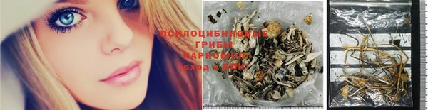 гидра Алексеевка