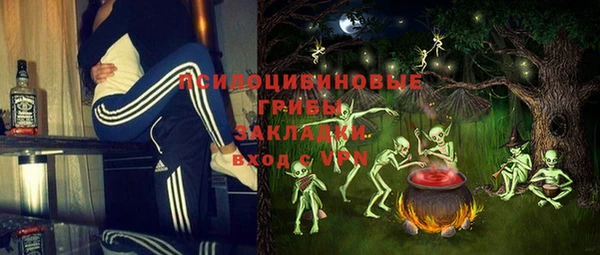 гидра Алексеевка