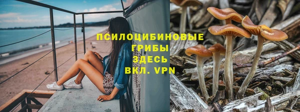 гидропоника Дубна