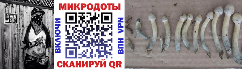 Галлюциногенные грибы прущие грибы  Кувшиново 